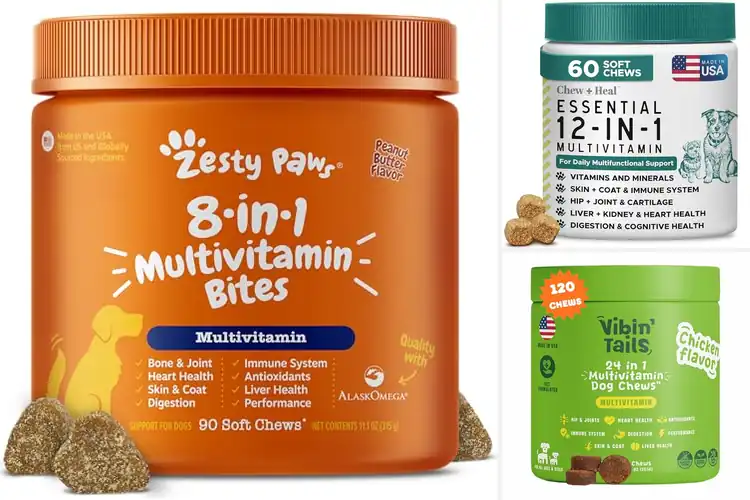 Detailed view of Best Fortified With Vitamins And Minerals Dog Treats