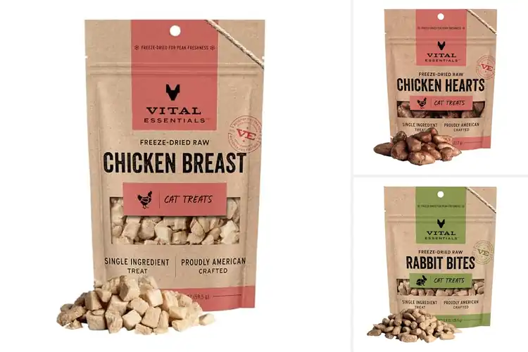 Detailed view of Best Freeze Dried Freshness Cat Treats