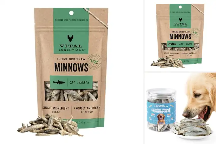 Detailed view of Best Freeze Dried Minnows Protein For Cats