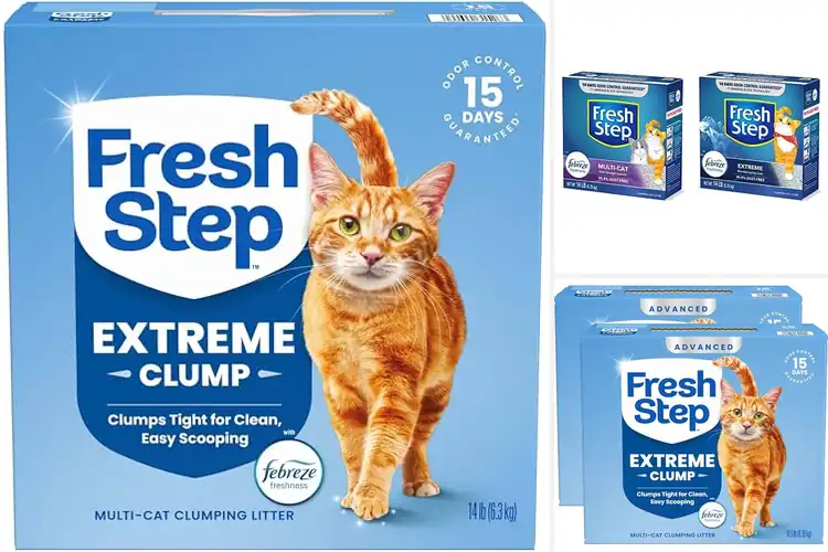 Detailed view of Best Fresh Febreze Scent Litter