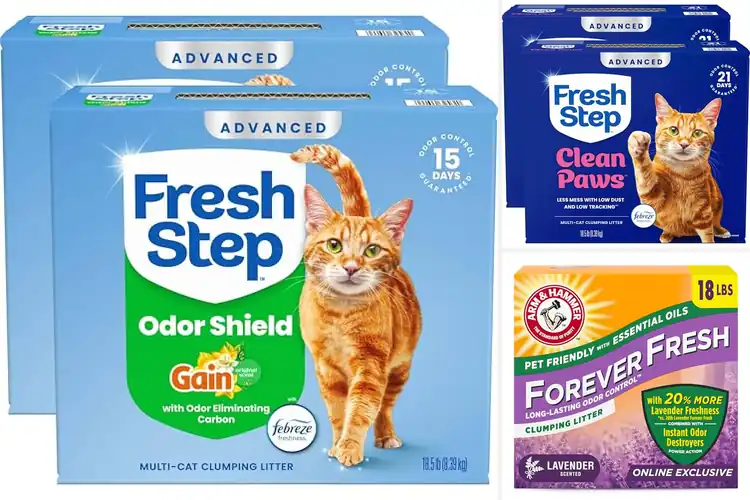 Detailed view of Best Fresh Scent Cat Litters