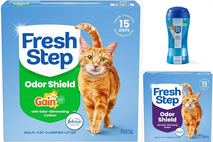 Detailed view of Best Fresh Scent Litter: 10 Top Picks for a Clean Home