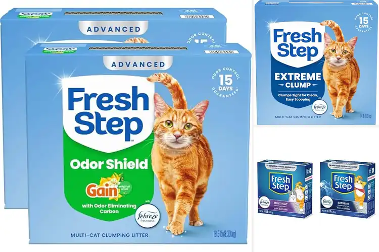 Detailed view of Best Fresh Scented Cat Litters: Top 10 Odor-Busting Picks