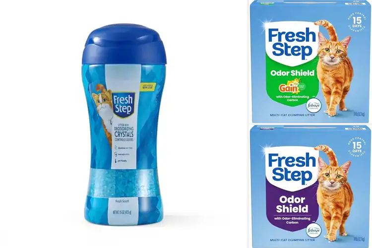 Detailed view of Best Fresh Smelling Litters: Top Picks for Odor-Free Homes
