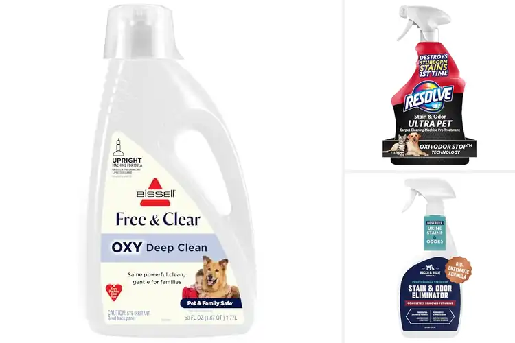 Detailed view of Best Gentle Pet Cleaners