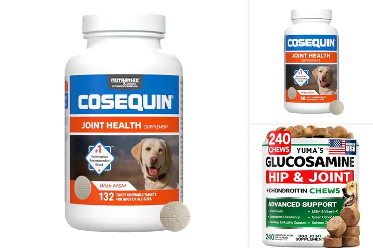 Detailed view of Best Glucosamine For Dogs With MSM And Chondroitin