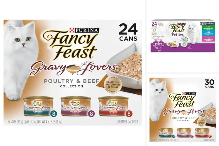 Detailed view of Best Gourmet Cat Foods