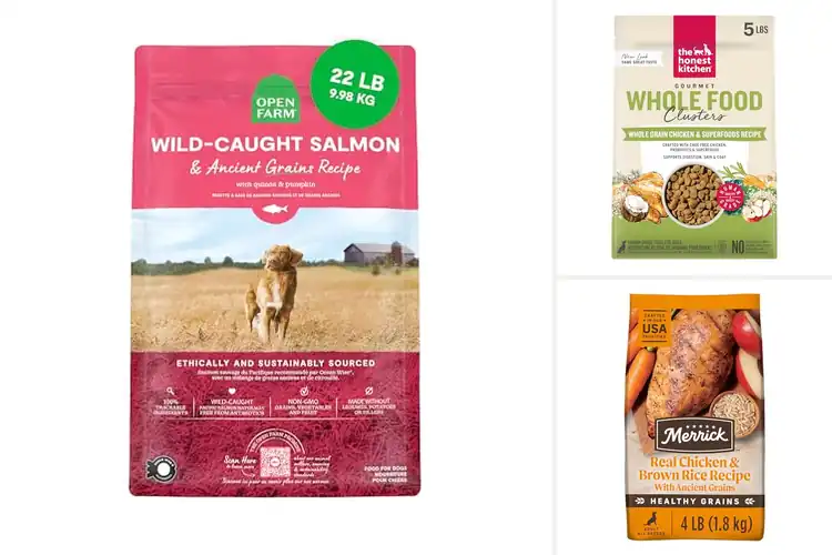 Detailed view of Best Grain Dog Foods: Top Picks for Healthy, Happy Dogs