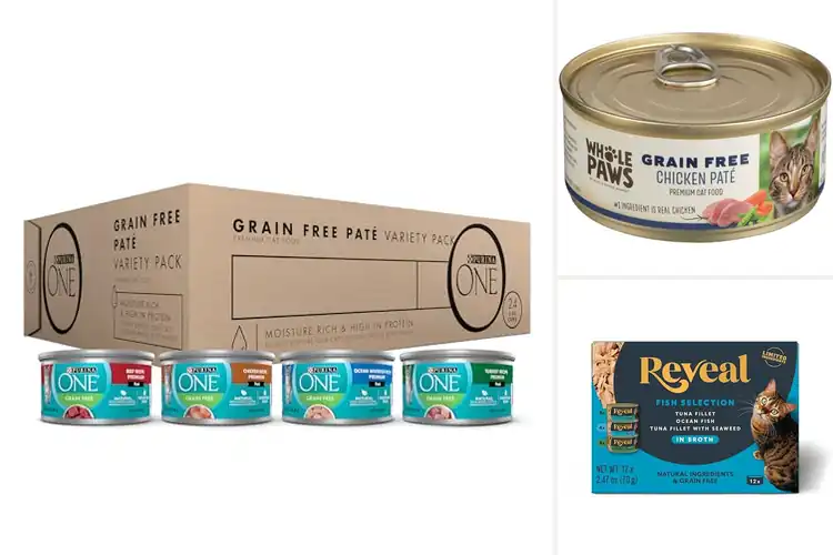 Detailed view of Best Grain Free Canned Cat Foods