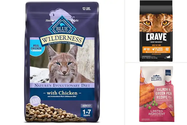 Detailed view of Best Grain-Free Cat Food
