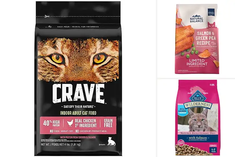 Detailed view of Best Grain Free Cat Food With No Fillers