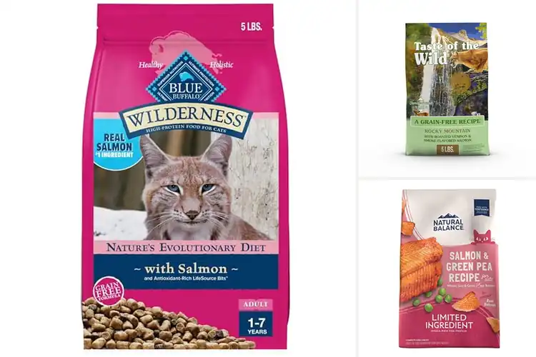 Detailed view of Best Grain-Free Cat Foods