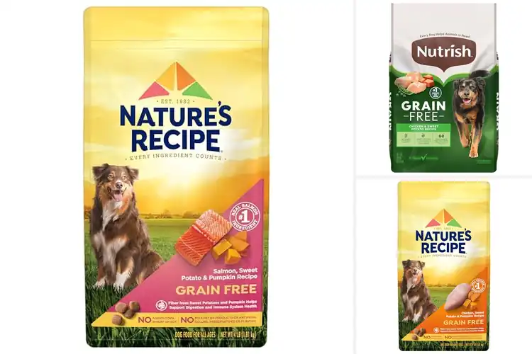Detailed view of Best Grain-Free Dog Foods