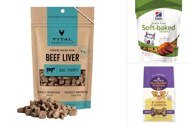 Detailed view of Best Grain-Free Treats: 10 Healthy & Delicious Dog Snacks