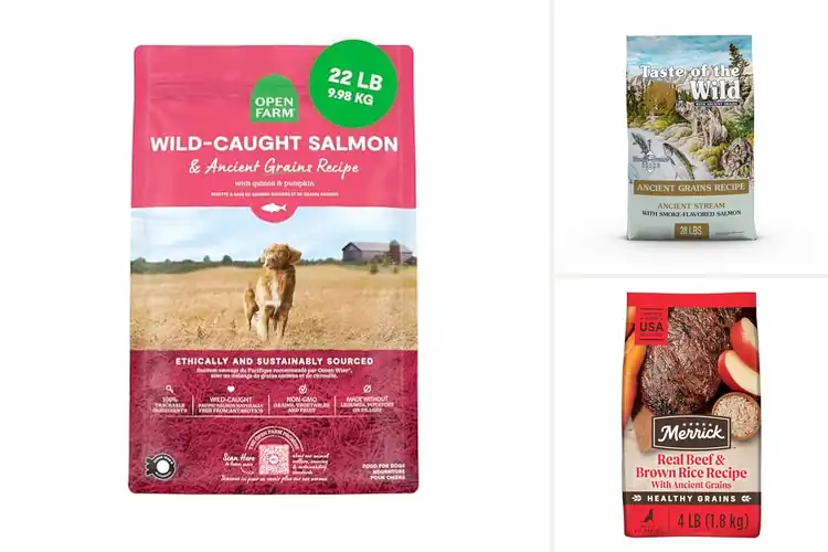 Detailed view of Best Grain Inclusive Dog Foods