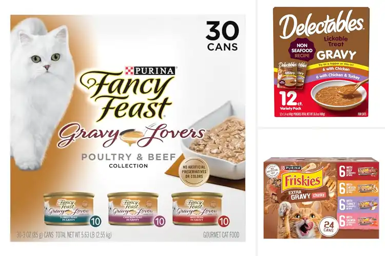 Detailed view of Best Gravy Cat Foods