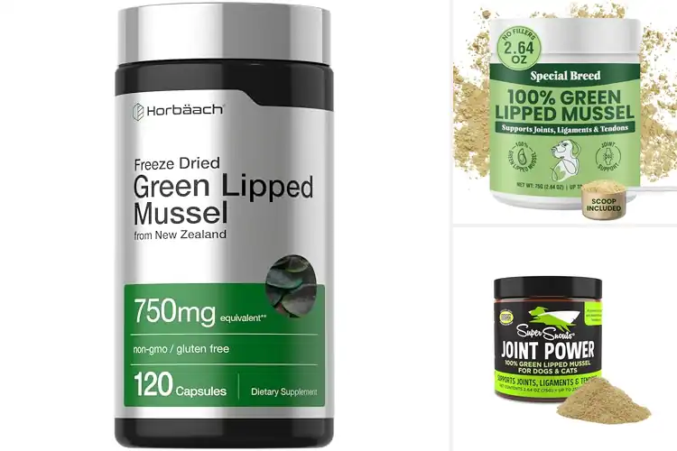 Detailed view of Best Green Lipped Mussel For Joints