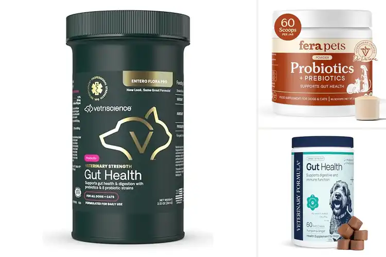 Detailed view of Best Gut Health Supplements for Pets