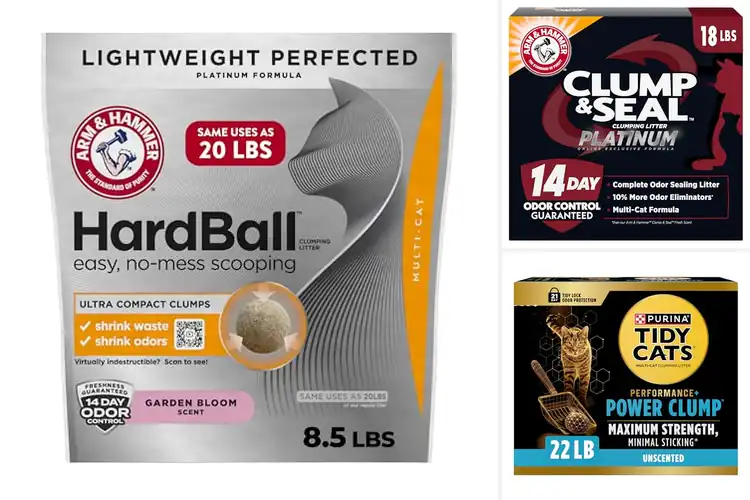 Detailed view of Best Hard Clumping Cat Litter: Top 10 Picks for Fresh Homes