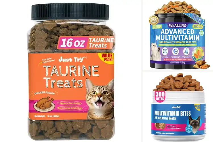 Detailed view of Best Healthy Cat Treats With Taurine