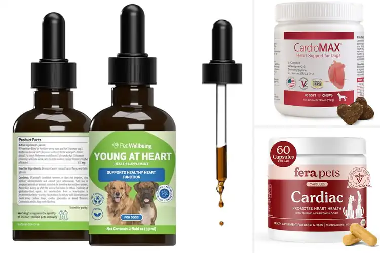 Detailed view of Best Heart Health Supplements for Pets