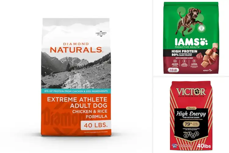 Detailed view of Best High Energy Dog Foods: Top 10 Picks for Active Dogs