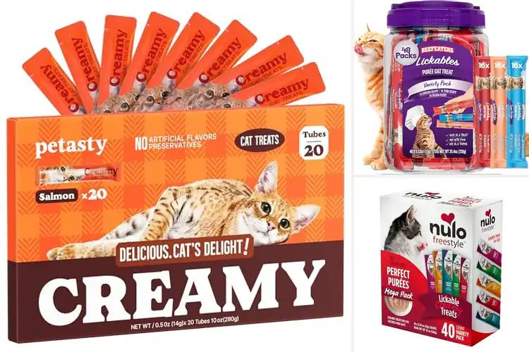 Detailed view of Best High-Moisture Cat Treats: Hydrate & Delight Your Feline