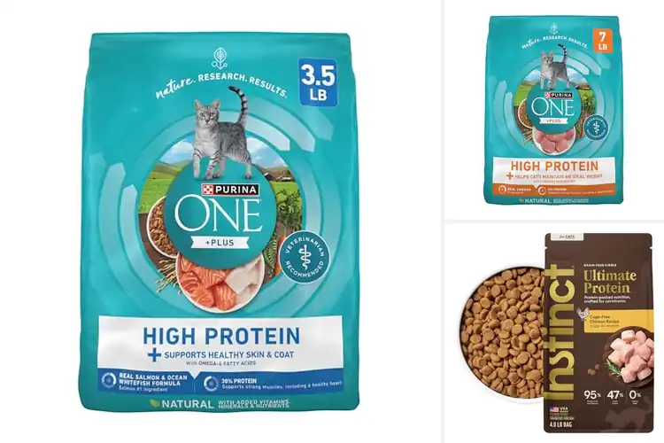 Detailed view of Best High-Protein Cat Foods For Muscles