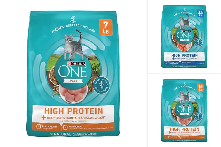 Detailed view of Best High Protein Cat Foods