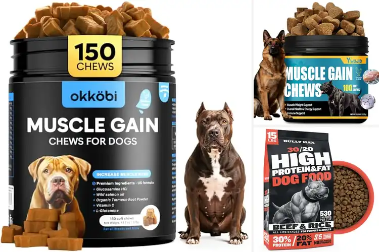 Detailed view of Best High Protein Dog Food For Muscles