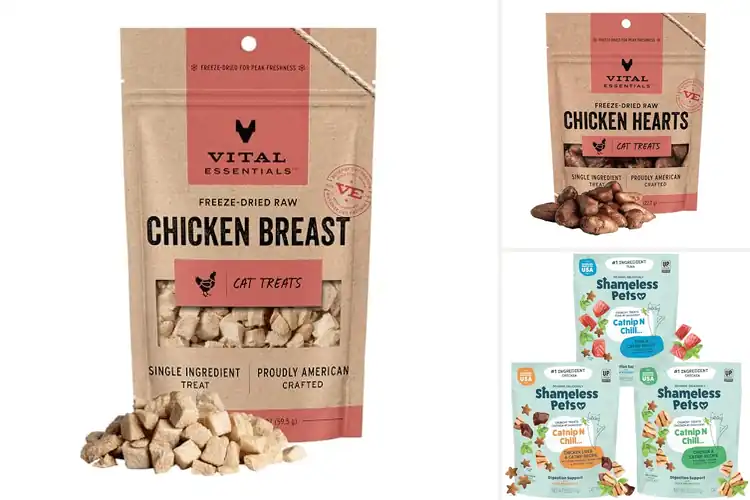 Detailed view of Best High Quality Cat Treat Ingredients