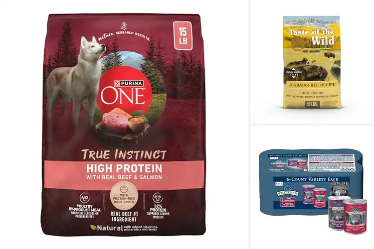 Detailed view of Best High-Quality Protein Dog Foods
