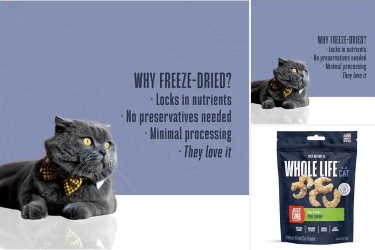 Detailed view of Best Human-Grade Cat Treats: 10 Healthy & Delicious Options