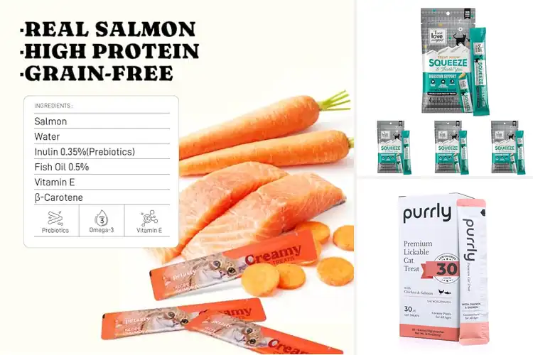 Detailed view of Best Hydrating Cat Treats With Moisture