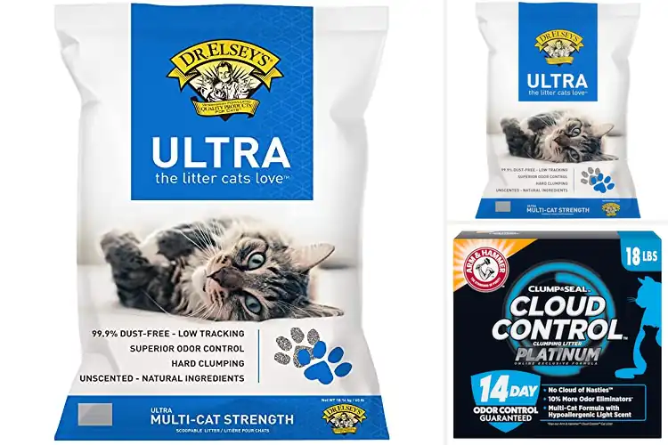 Detailed view of Best Hypoallergenic Cat Litter For Allegry Sufferers