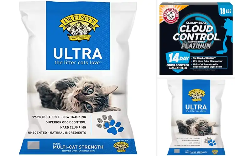 Detailed view of Best Hypoallergenic Cat Litter
