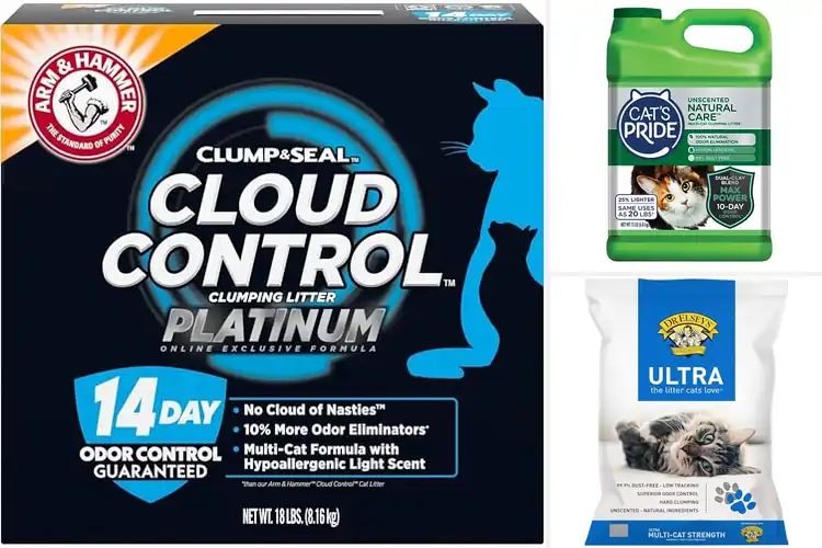 Detailed view of Best Hypoallergenic Cat Litters: Fresh Home, Happy Cat