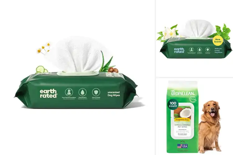 Detailed view of Best Hypoallergenic Pet Wipes