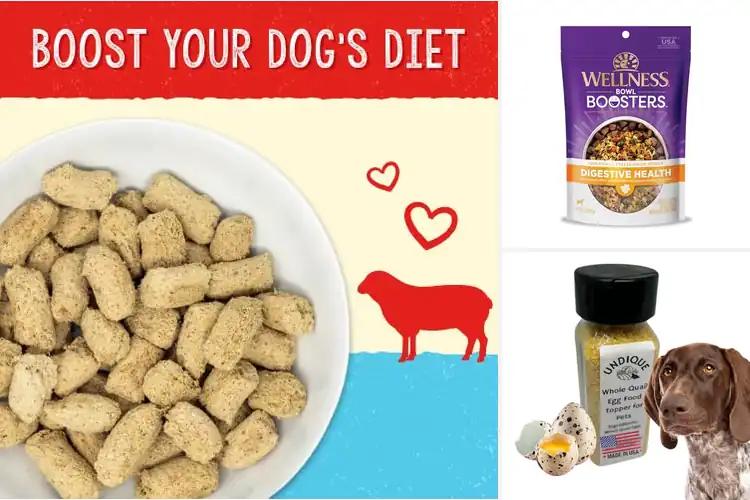 Detailed view of Best Immune Boosting Dog Foods