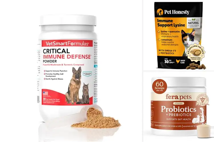 Detailed view of Best Immune Boosting Supplements for Pets