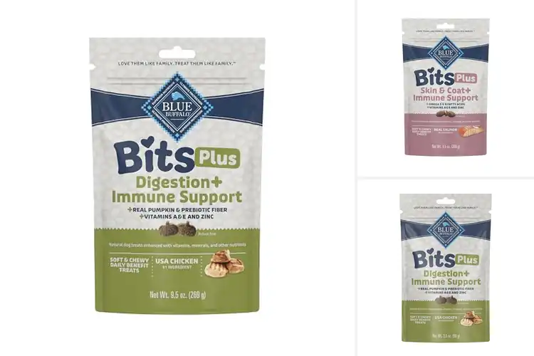 Detailed view of Best Immune Support Bits: Top 10 Picks for Optimal Health