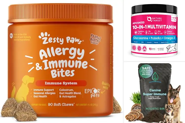 Detailed view of Best Immune Support Dog Foods