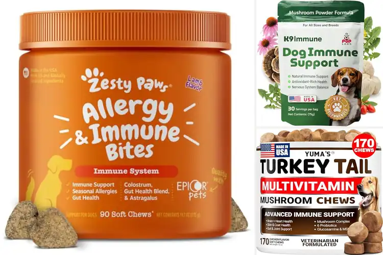 Detailed view of Best Immune Support For Dogs: Top 10 Vet-Approved Solutions