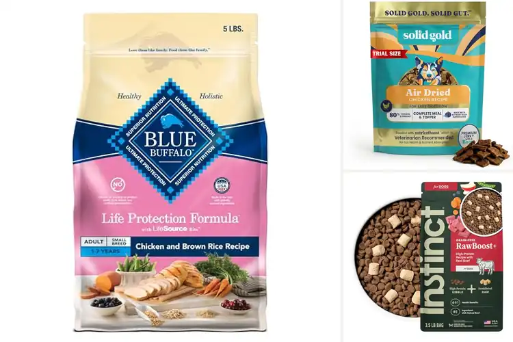 Detailed view of Best Immunity Boosting Dog Foods