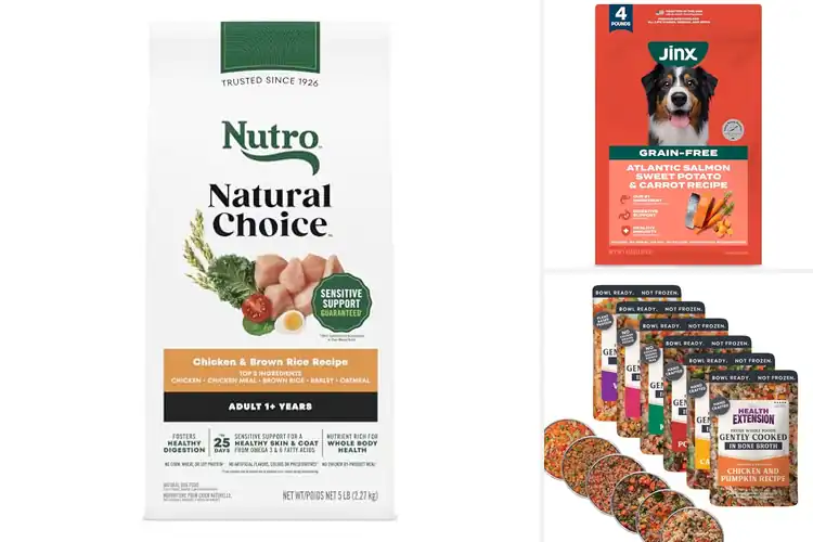 Detailed view of Best Immunity Supporting Dog Food
