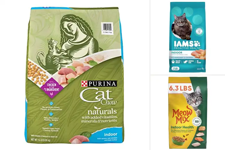 Detailed view of Best Indoor Cat Foods