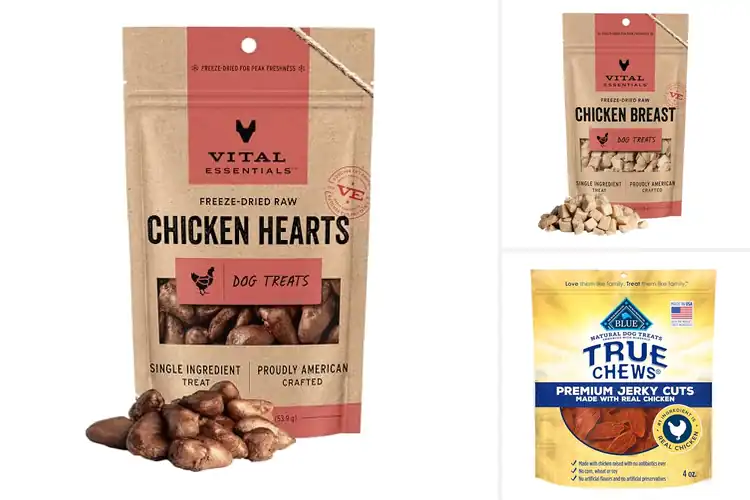 Detailed view of Best Ingredients For Dog Treats: 10 Wholesome Snack Ideas