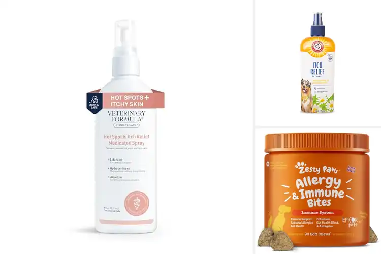 Detailed view of Best Itch Relief For Dogs