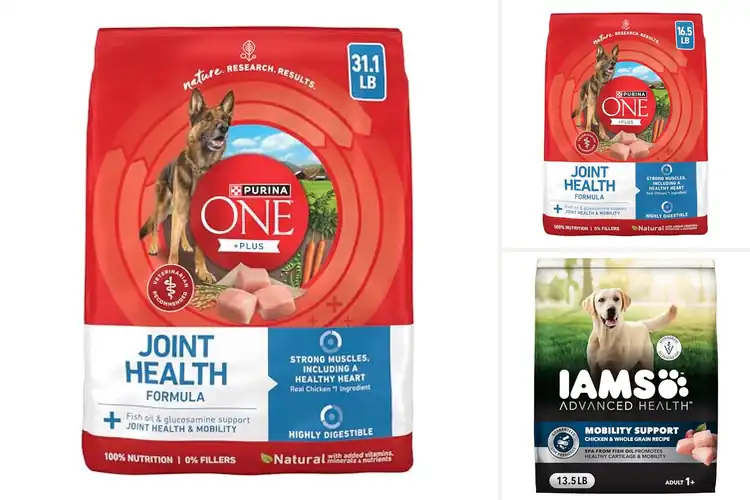 Detailed view of Best Joint Health Dog Foods