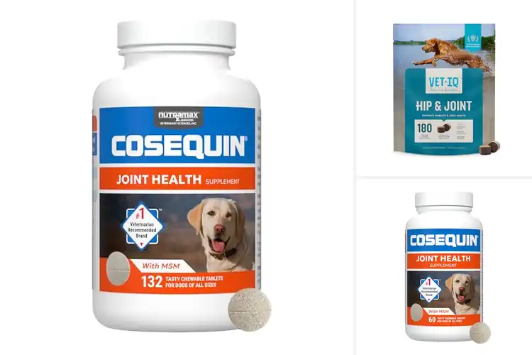 Detailed view of Best Joint Support For All Breeds And Sizes